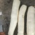 广西一手货源木薯新鲜上市价格美丽质量好走货快欢迎询价热卖