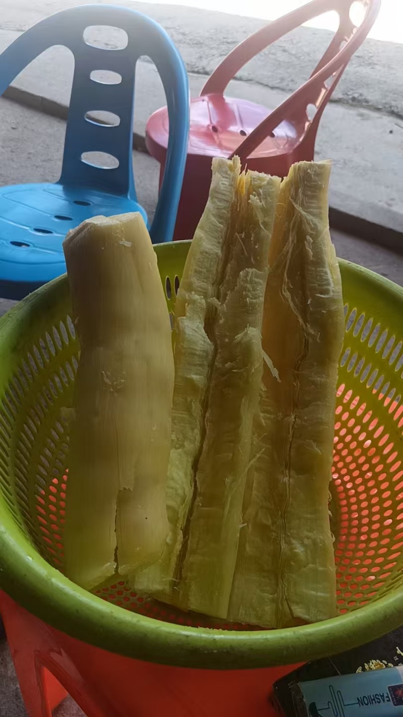 广西一手货源木薯量大从优价格美丽质量好走货快欢迎询价