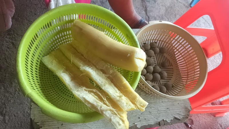 广西钦州木薯量大从优价格美丽质量好走货快欢迎询价正在热卖
