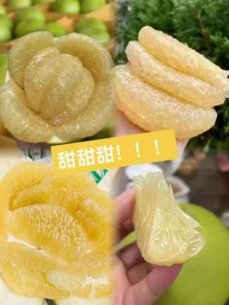 【热卖】福建白柚子产地直销量大质优价格优惠一手货源