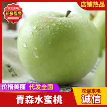 青森水蜜桃苹果青苹果苹果品类齐全产地直销可对接全国