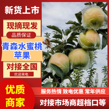 【实力推荐】山东青森水蜜桃苹果青苹果苹果可对接全国
