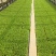 生菜苗菜苗苗木直发蔬菜基地云南可供应成活率高全国发货