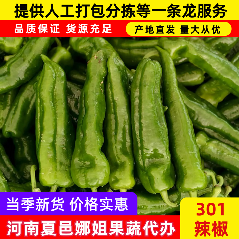 力荐泡椒质量优良品质优质发货全国各地视频看货