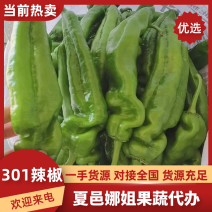 精选优质301泡椒大量上市品种多样按需发货欢迎联系