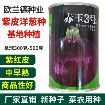 欧兰德紫皮洋葱杂交种子秋季中早熟高圆耐储耐雨抗病微辣脆甜