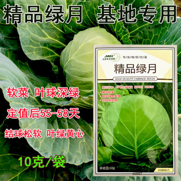 甘蓝种子绿月甘蓝种子包菜宣菜结球松软叶绿心黄春秋