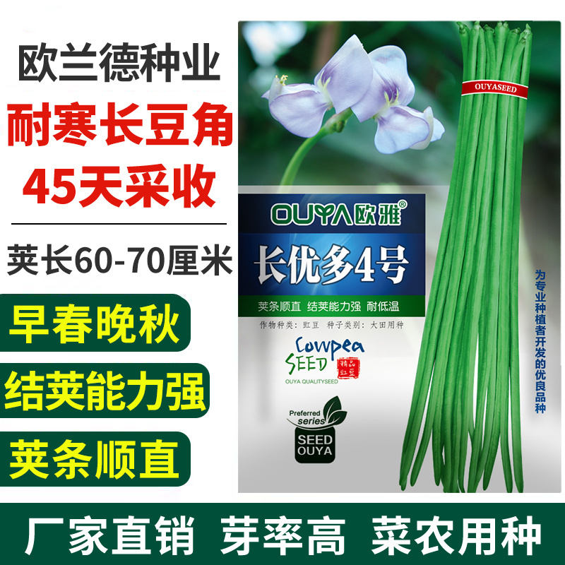 秋豆角长豆角种子高产豇豆种子春秋越冬耐寒耐热大棚露地豆角