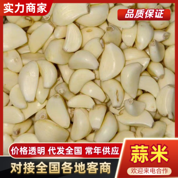【放心购买】蒜米山东蒜米预制菜用米食堂用米工厂用蒜米