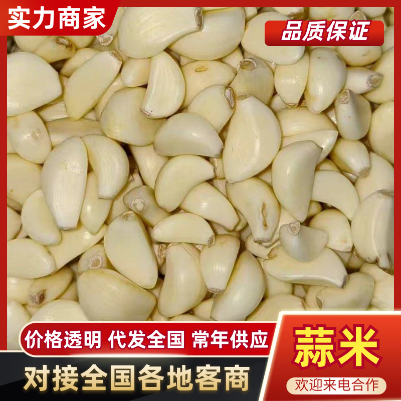 【放心购买】蒜米山东蒜米预制菜用米食堂用米工厂用蒜米