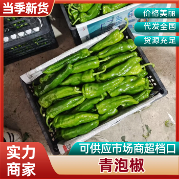 【热卖】安徽芜湖青泡椒308产地直发品质保证商超品质