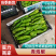 【热卖】安徽芜湖青泡椒308产地直发品质保证商超品质
