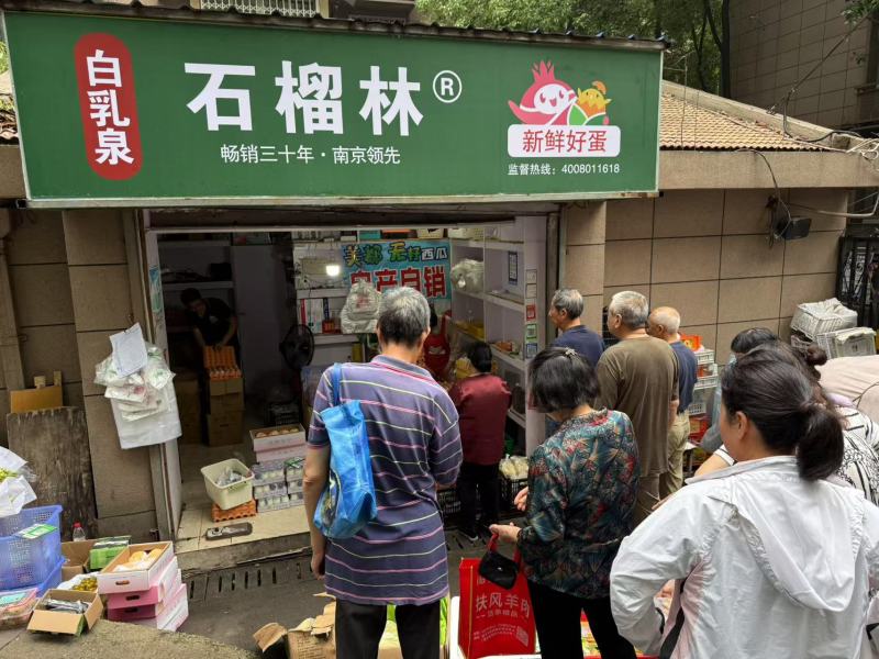 南京畅销30年/白乳泉石榴林鸡蛋/团购批发/可一件代发