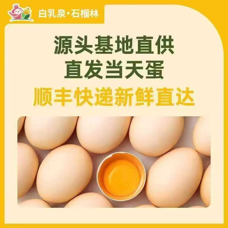 江苏自家养鸡场鸡蛋草鸡蛋接团购批发/量大优惠/可一件代发