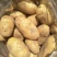 【稳定供货】甘肃226土豆新鲜土豆批发产地直发量大价优