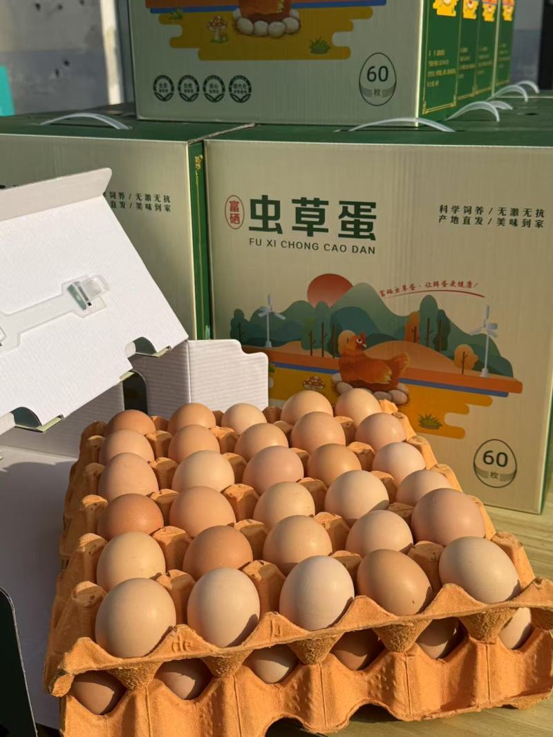 江苏自家养鸡场鸡蛋草鸡蛋接团购批发/量大优惠/可一件代发