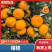 精品柑桔，新鲜柑橘，当季现货，品质保证，量大从优！