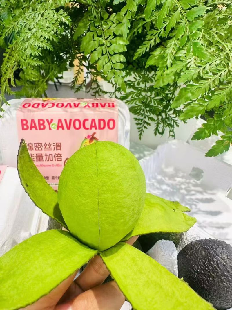哈斯牛油果按需分拣打包有纸箱泡沫箱礼品盒等接电商直播一件代发