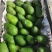 哈斯牛油果按需分拣打包有纸箱泡沫箱礼品盒等接电商直播一件代发