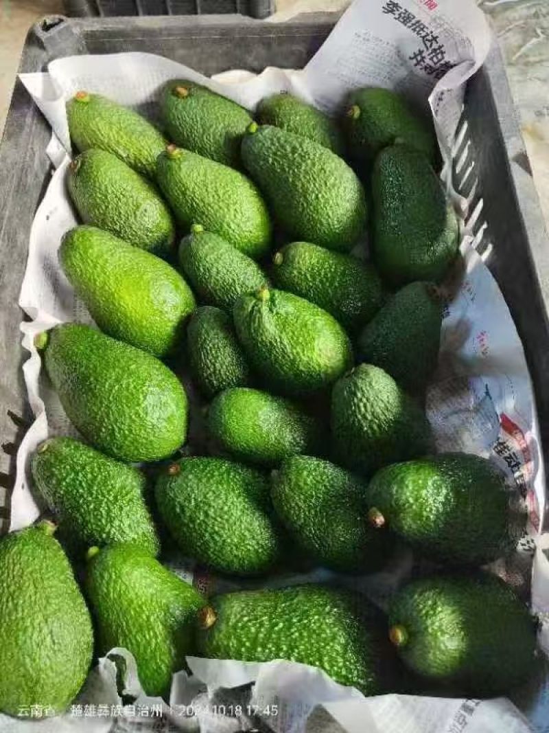 哈斯牛油果按需分拣打包有纸箱泡沫箱礼品盒等接电商直播一件代发