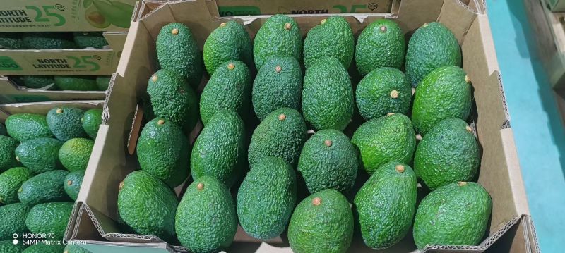 哈斯牛油果按需分拣打包有纸箱泡沫箱礼品盒等接电商直播一件代发