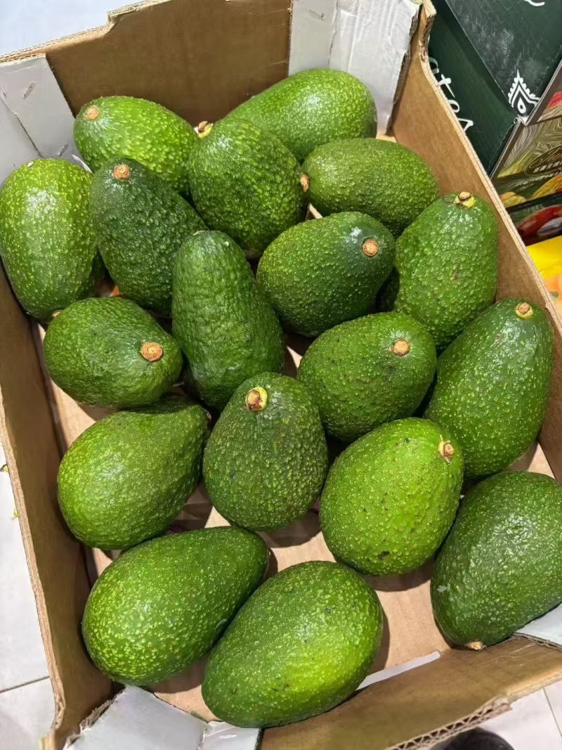 哈斯牛油果按需分拣打包有纸箱泡沫箱礼品盒等接电商直播一件代发