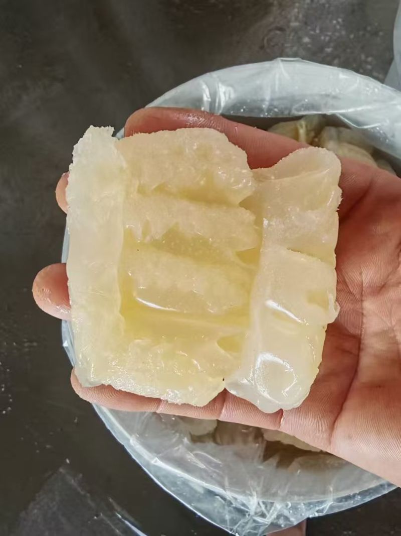 海蜇规格齐全大量有货对接全国市场可视频看