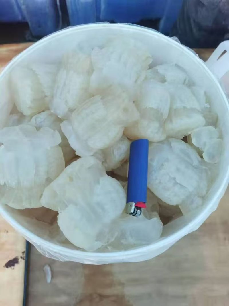 海蜇规格齐全大量有货对接全国市场可视频看