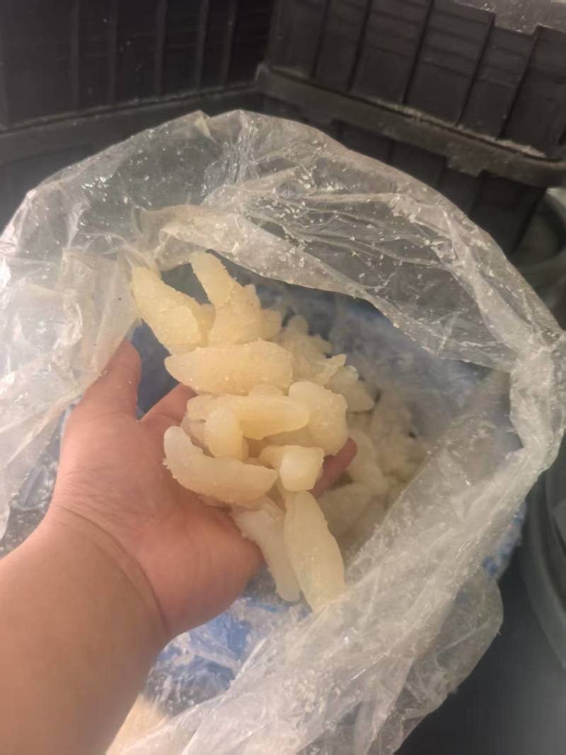 海蜇规格齐全大量有货对接全国市场可视频看
