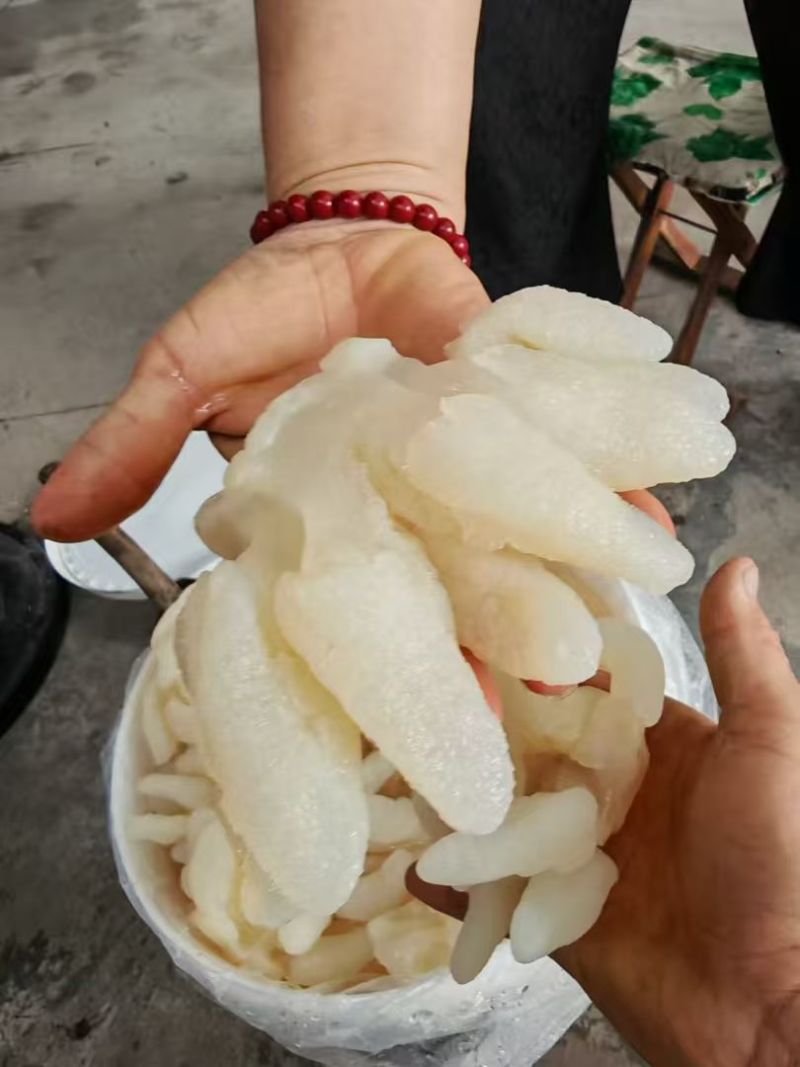 海蜇规格齐全大量有货对接全国市场可视频看