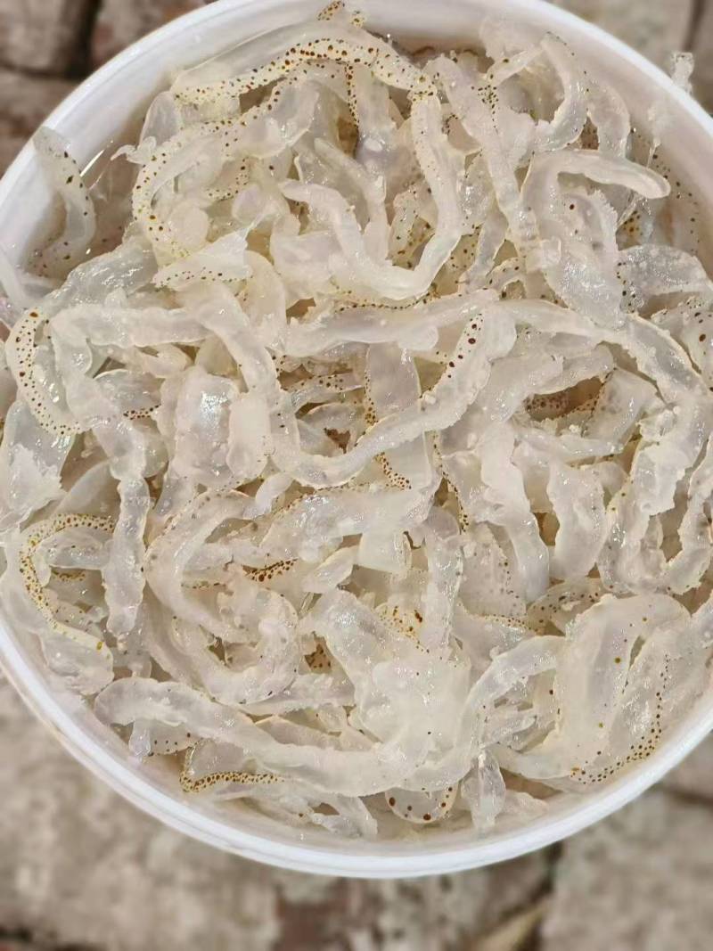 海蜇规格齐全大量有货对接全国市场可视频看