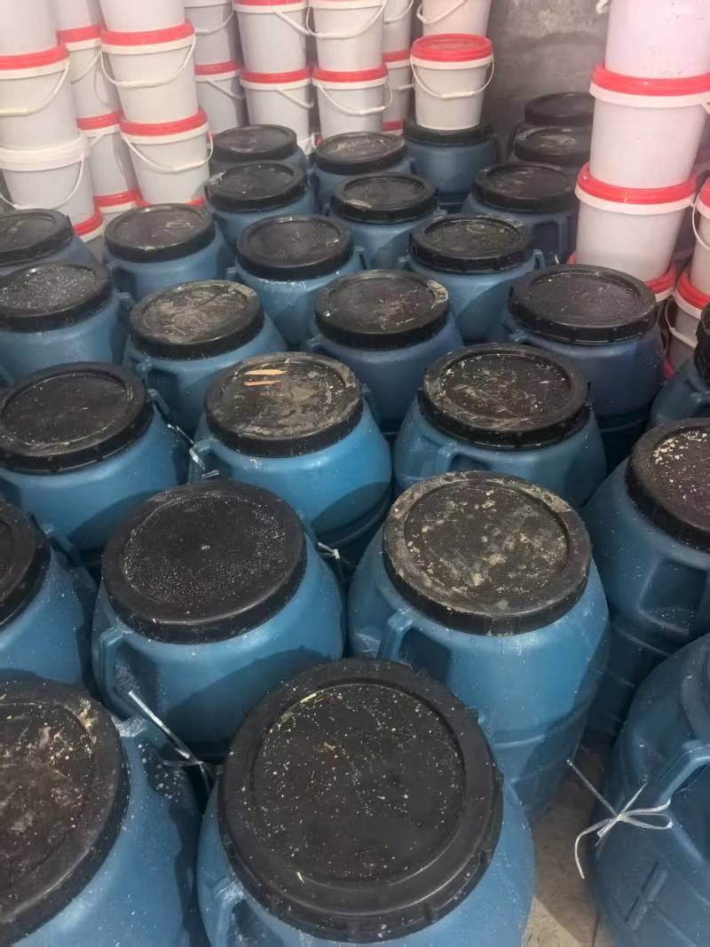 海蜇头一手货源基地直发大量有货可代发全国