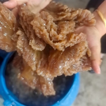海蜇头一手货源基地直发大量有货可代发全国