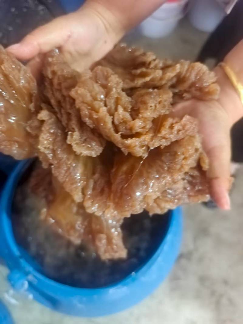 海蜇头一手货源基地直发大量有货可代发全国