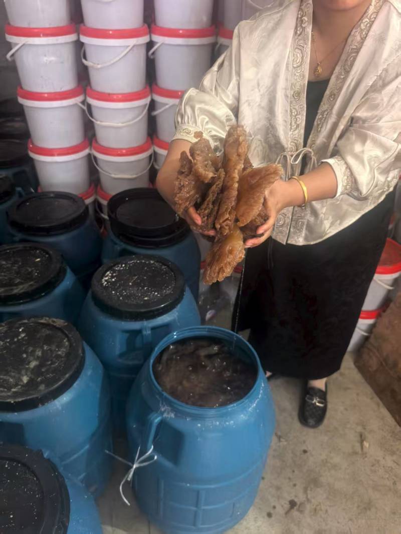 海蜇头一手货源基地直发大量有货可代发全国