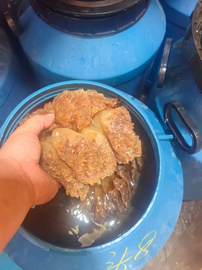 海蜇头一手货源基地直发大量有货可代发全国