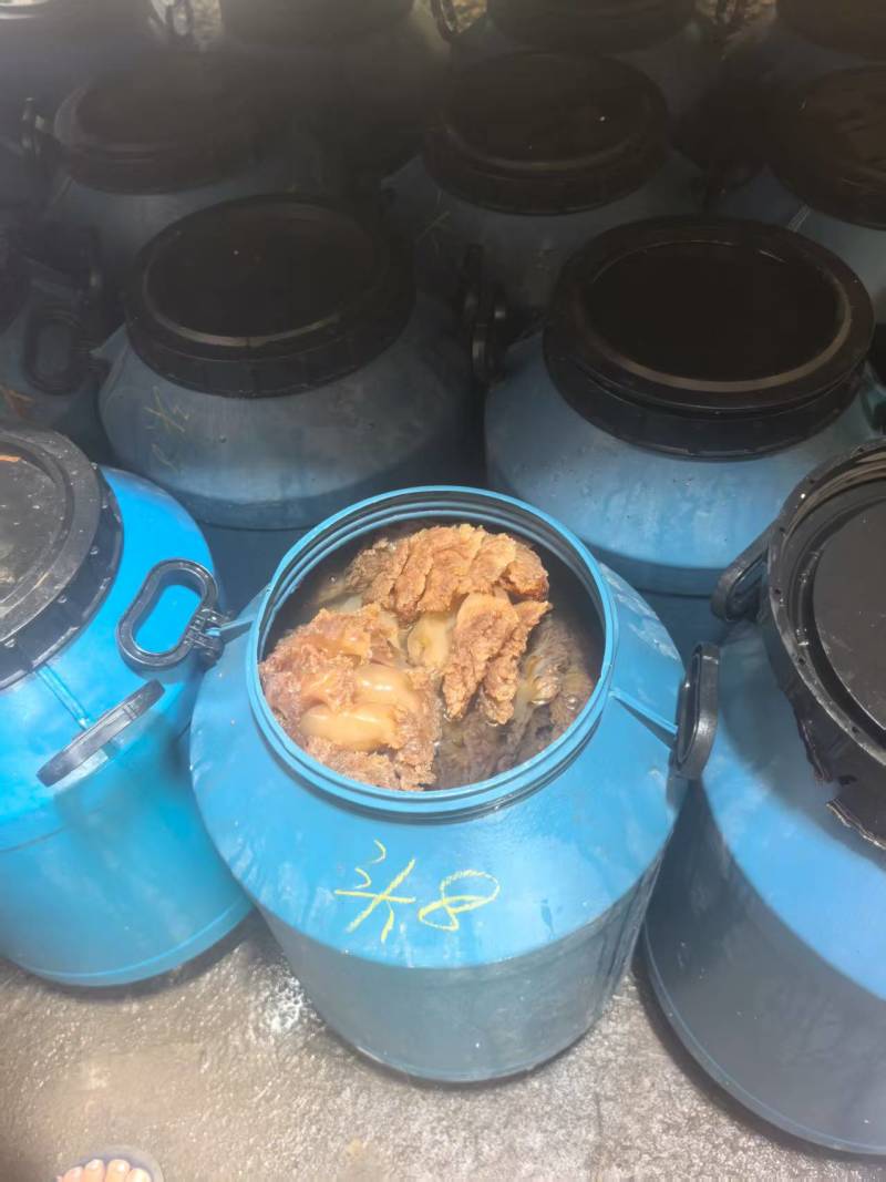 海蜇头一手货源基地直发大量有货可代发全国