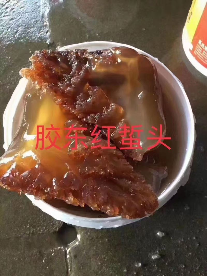 海蜇头一手货源基地直发大量有货可代发全国