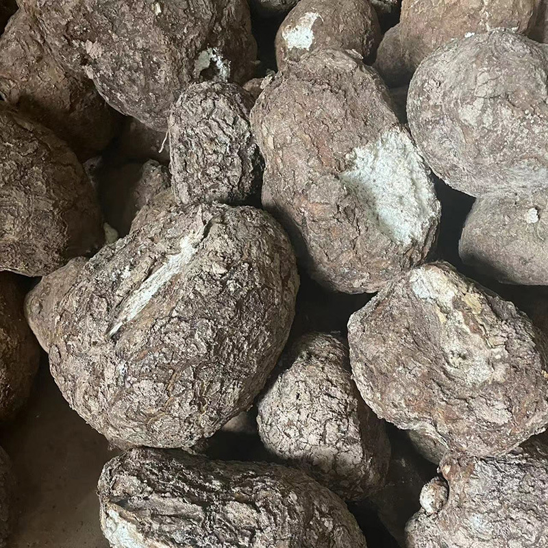 云南新鲜茯苓整个茯苓带皮茯苓中药材可切片白茯苓片