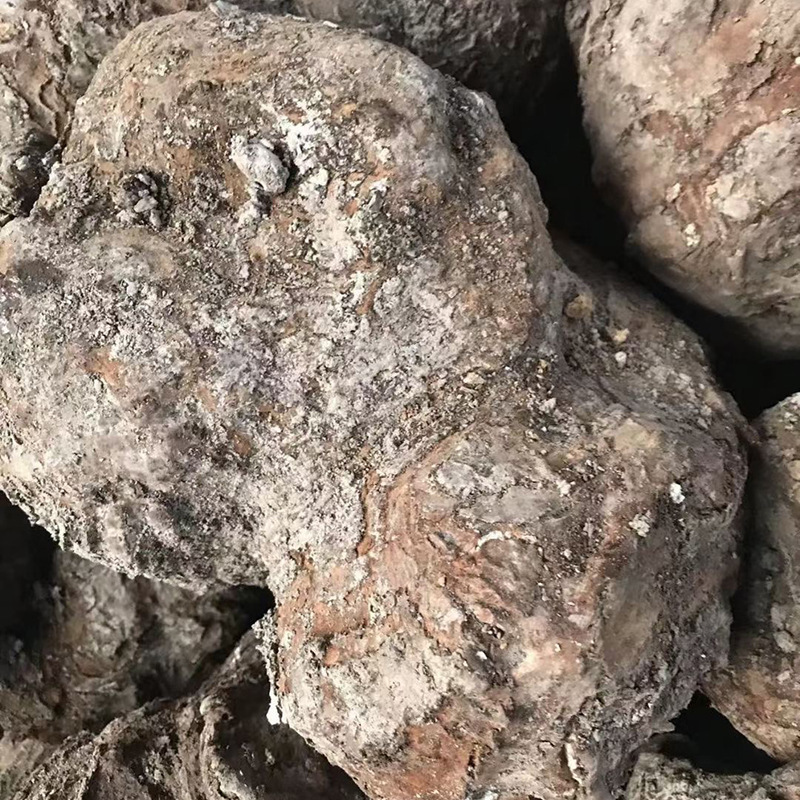 云南新鲜茯苓整个茯苓带皮茯苓中药材可切片白茯苓片