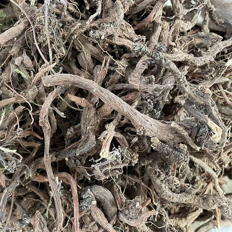 云南紫丹参也丹参非人工种植丹参山上的也丹参紫丹参装大货批