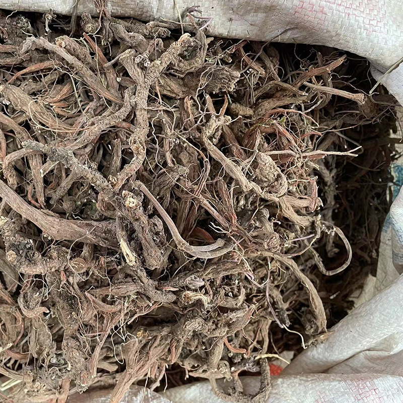 云南紫丹参也丹参非人工种植丹参山上的也丹参紫丹参装大货批
