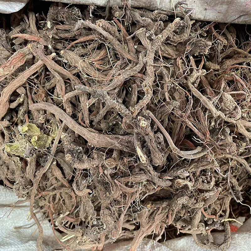 云南紫丹参也丹参非人工种植丹参山上的也丹参紫丹参装大货批