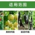 生物有机肥有机质45有效活菌5亿/克