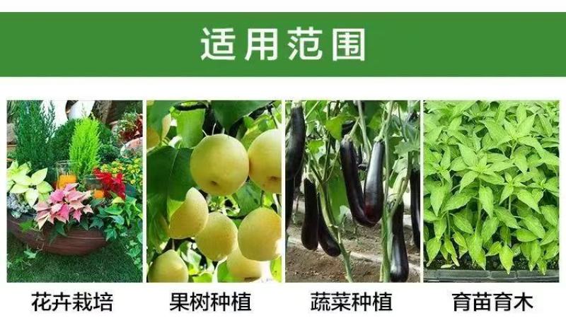 生物有机肥有机质45有效活菌5亿/克