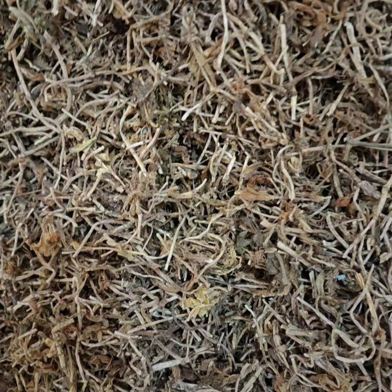 垂盆草中药材大货批发垂盆草量大从优药材垂盆草