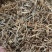 垂盆草中药材大货批发垂盆草量大从优药材垂盆草