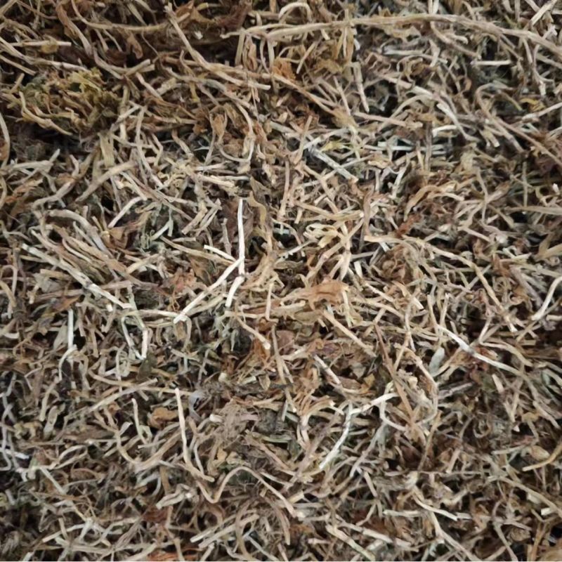 垂盆草中药材大货批发垂盆草量大从优药材垂盆草