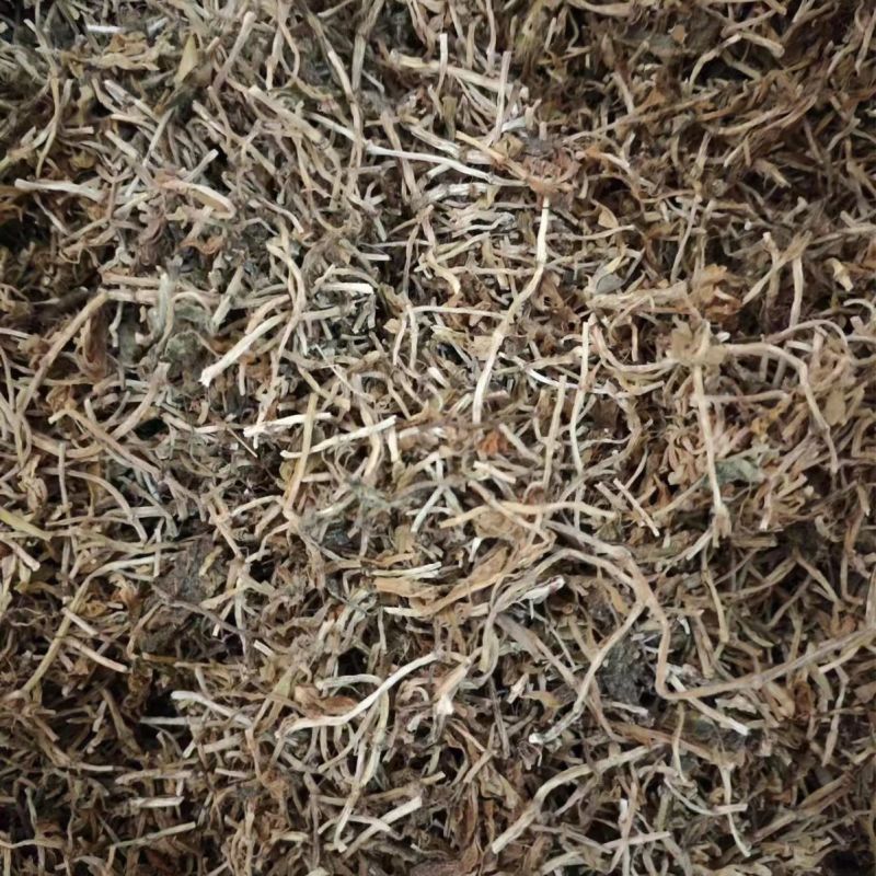 垂盆草中药材大货批发垂盆草量大从优药材垂盆草