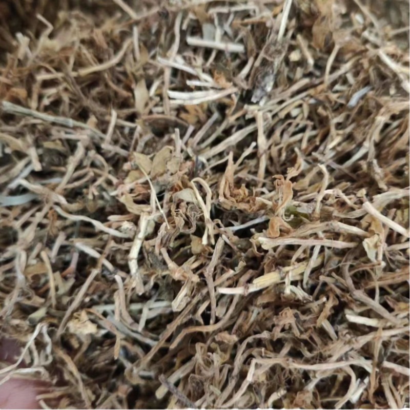 垂盆草中药材大货批发垂盆草量大从优药材垂盆草
